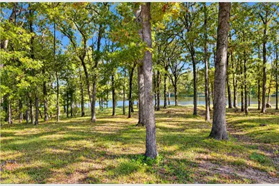Lot 55 Private Road 52415, Leesburg, TX 75451 - Photo 2
