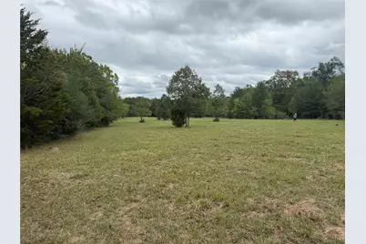0, Tx 000000 0, Tx 00000, Canton, TX 75103 - Photo 10