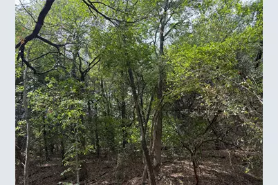 129 Old Ida Road, Sherman, TX 75090 - Photo 40