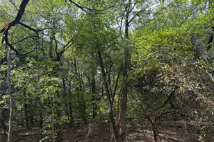 129 Old Ida Rd, Sherman, TX 75090 - Photo 40