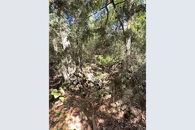 0 An County Road 437, Frankston, TX 75763 - Photo 26