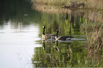 8300 Trophy Point, LaRue, TX 75770 - Photo 16