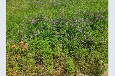 [Address not provided], Athens, TX 75752 - Photo 12