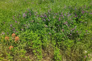 [Address not provided], Athens, TX 75752 - Photo 12
