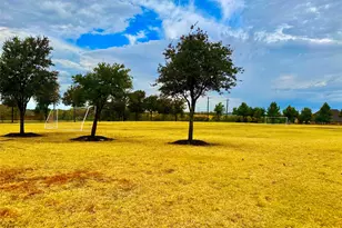 11012 Carrizo Rd, Frisco, TX 75035 - Photo 34