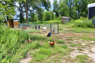 113 N County Road 681, Teague, TX 75860 - Photo 30