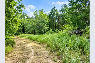 113 N County Road 681, Teague, TX 75860 - Photo 32