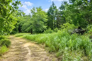 113 N County Road 681, Teague, TX 75860 - Photo 32