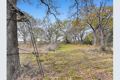 Tba Hwy 24 South, Klondike, TX 75448 - Photo 8
