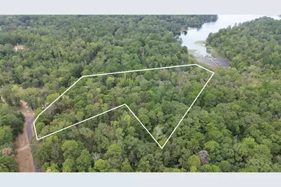 1688 County Road 1597, Avinger, TX 75630 - Photo 22