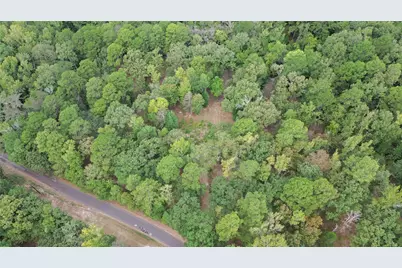 1688 County Road 1597, Avinger, TX 75630 - Photo 24