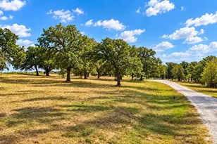 1098 Paradise Pkwy, Poolville, TX 76487 - Photo 38