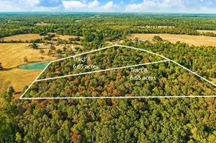 Tract A Cr 44400, Powderly, TX 75473 - Photo 1