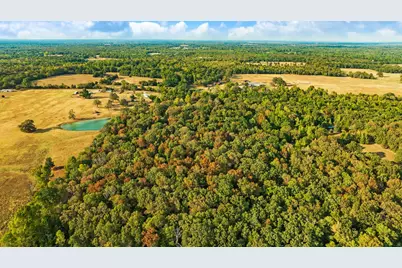 Tract B Cr 44400, Powderly, TX 75473 - Photo 16