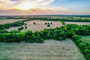5201 Windmill Ln, Celina, TX 75009 - Photo 10
