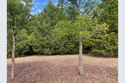 [Address not provided], Blue Ridge, TX 75424 - Photo 2