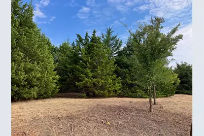 [Address not provided], Blue Ridge, TX 75424 - Photo 1
