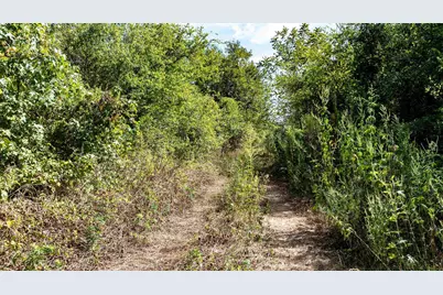 Tbd Fm 726, Gilmer, TX 75645 - Photo 10