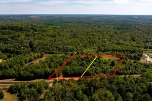 Tbd Fm 726, Gilmer, TX 75645 - Photo 1