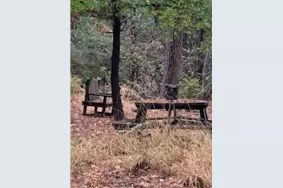 [Address not provided], Holly Lake Ranch, TX 75765 - Photo 4