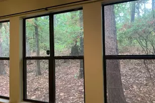 [Address not provided], Holly Lake Ranch, TX 75765 - Photo 12