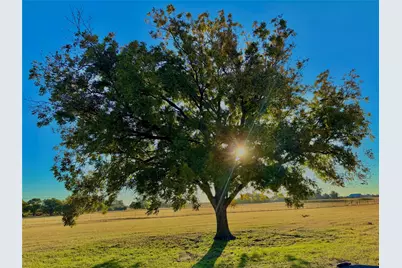 14114 Howard Lake Court, Lipan, TX 76462 - Photo 34