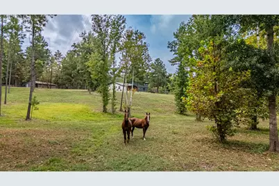 [Address not provided], Rusk, TX 75785 - Photo 2