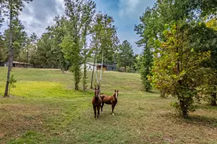 6411 Fm 23 W, Rusk, TX 75785 - Photo 2