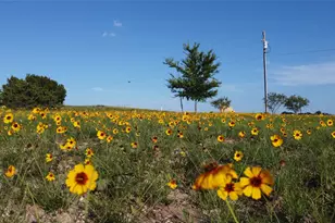 601 Hollow Dr, Lipan, TX 76462 - Photo 36