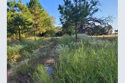 17109 Fm 195, Detroit, TX 75436 - Photo 2