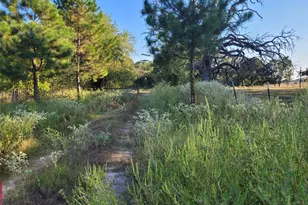 17109 FM195, Detroit, TX 75436 - Photo 2