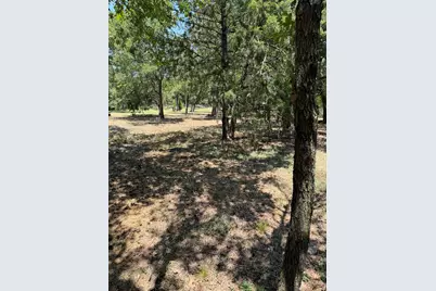 2300 Spring Mountain Road, Cross Roads, TX 76227 - Photo 10