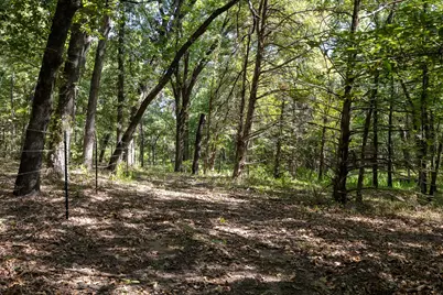 Tbd Richards Road, Sadler, TX 76264 - Photo 12