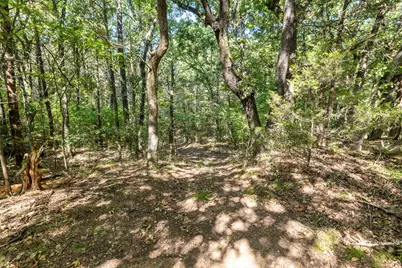 Tbd Richards Road, Sadler, TX 76264 - Photo 8