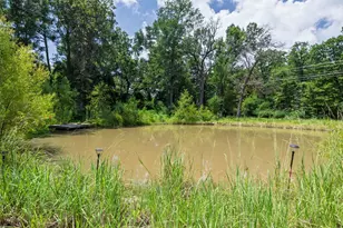 14313 Fm 645, Palestine, TX 75803 - Photo 28