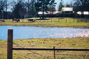 1644 Co Rd 4730, Winnsboro, TX 75494 - Photo 28