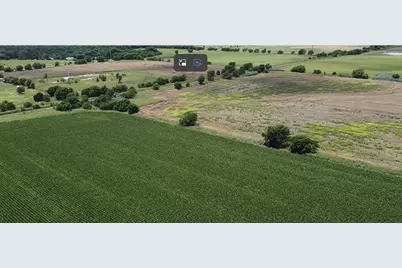 5301 County Road 401, Grandview, TX 76050 - Photo 6
