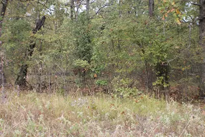 355 Buena Vista, Malakoff, TX 75148 - Photo 2