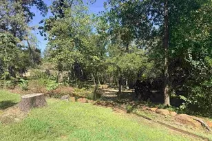 1205 Lake Cross Rd, Hideaway, TX 75771 - Photo 10