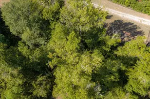 5700 E State Hwy 294, Elkhart, TX 75839 - Photo 30