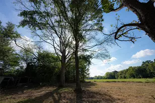 5700 E State Hwy 294, Elkhart, TX 75839 - Photo 10