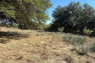104 Russell Bend Rd, Weatherford, TX 76088 - Photo 10