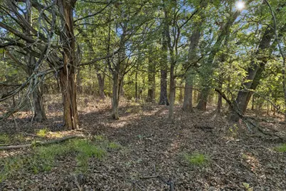 Tbd Rs County Road 4310, Point, TX 75472 - Photo 20