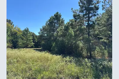 Lot 8 County Road 2922, Eustace, TX 75124 - Photo 4