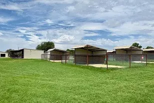 8850 Old Agnes Rd, Poolville, TX 76487 - Photo 20
