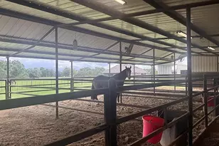 8850 Old Agnes Rd, Poolville, TX 76487 - Photo 18