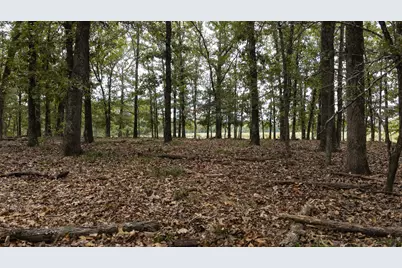 Tbd County Road 2786 #1, Mineola, TX 75773 - Photo 34