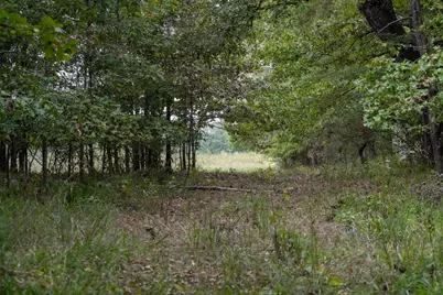 Tbd County Road 2786 #1, Mineola, TX 75773 - Photo 30