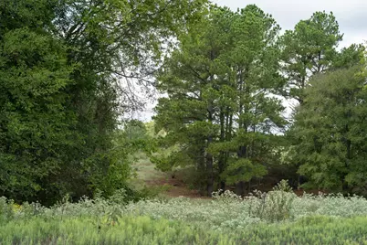 Tbd County Road 2786 #1, Mineola, TX 75773 - Photo 38