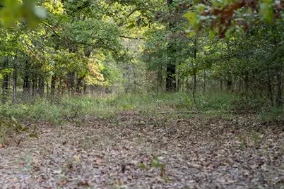 Tbd County Road 2786 #1, Mineola, TX 75773 - Photo 28